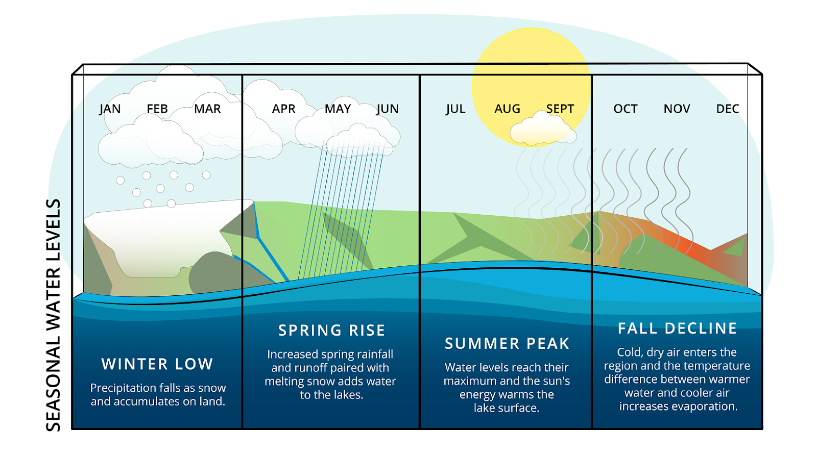 Graphic showing land in the background and water in the foreground, divided into four panels corresponding with the seasons. Text describes the water level changes throughout the year: Winter low, spring rise, summer peak, and fall decline.